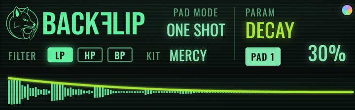 DECAY on the BackFlip screen with the decay curve over the waveform