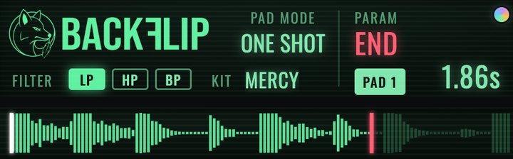 END on the BackFlip screen with the end marker on the waveform