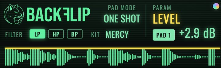 LEVEL on the BackFlip screen with the peak line over the waveform