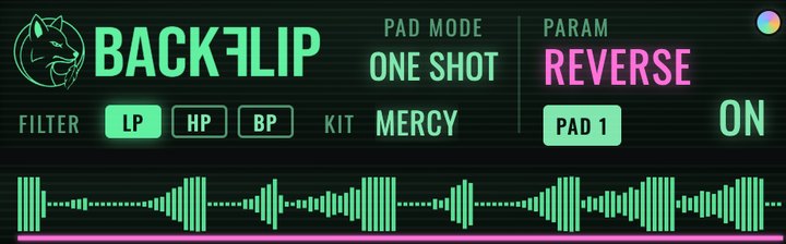 REVERSE on the BackFlip screen with the reversed waveform