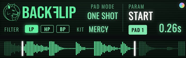 START on the BackFlip screen with trim markers on the waveform